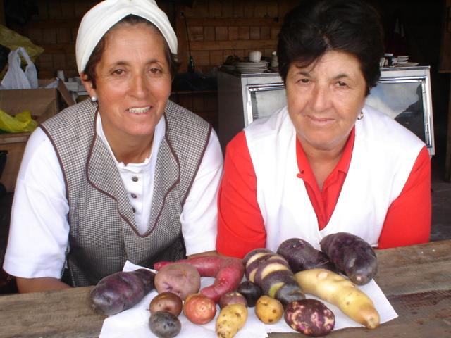 productoras papa