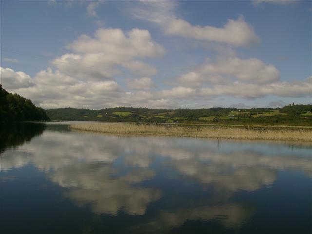 Tarahuin
