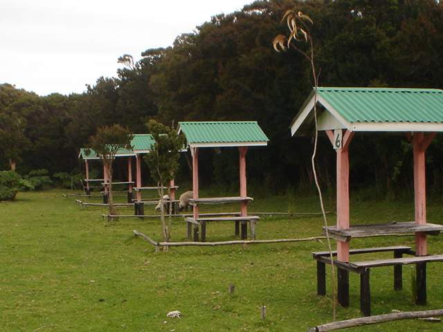 el manzano