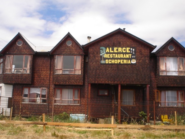 alerces