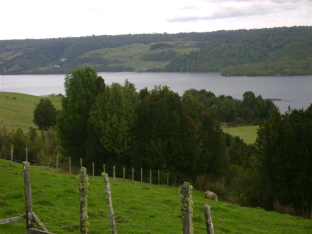 lago natri