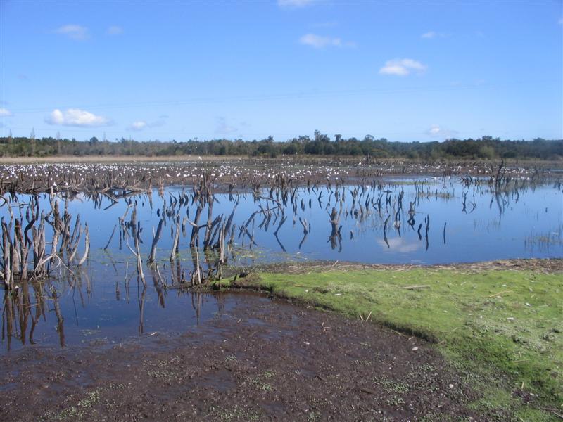 lago tarahuin