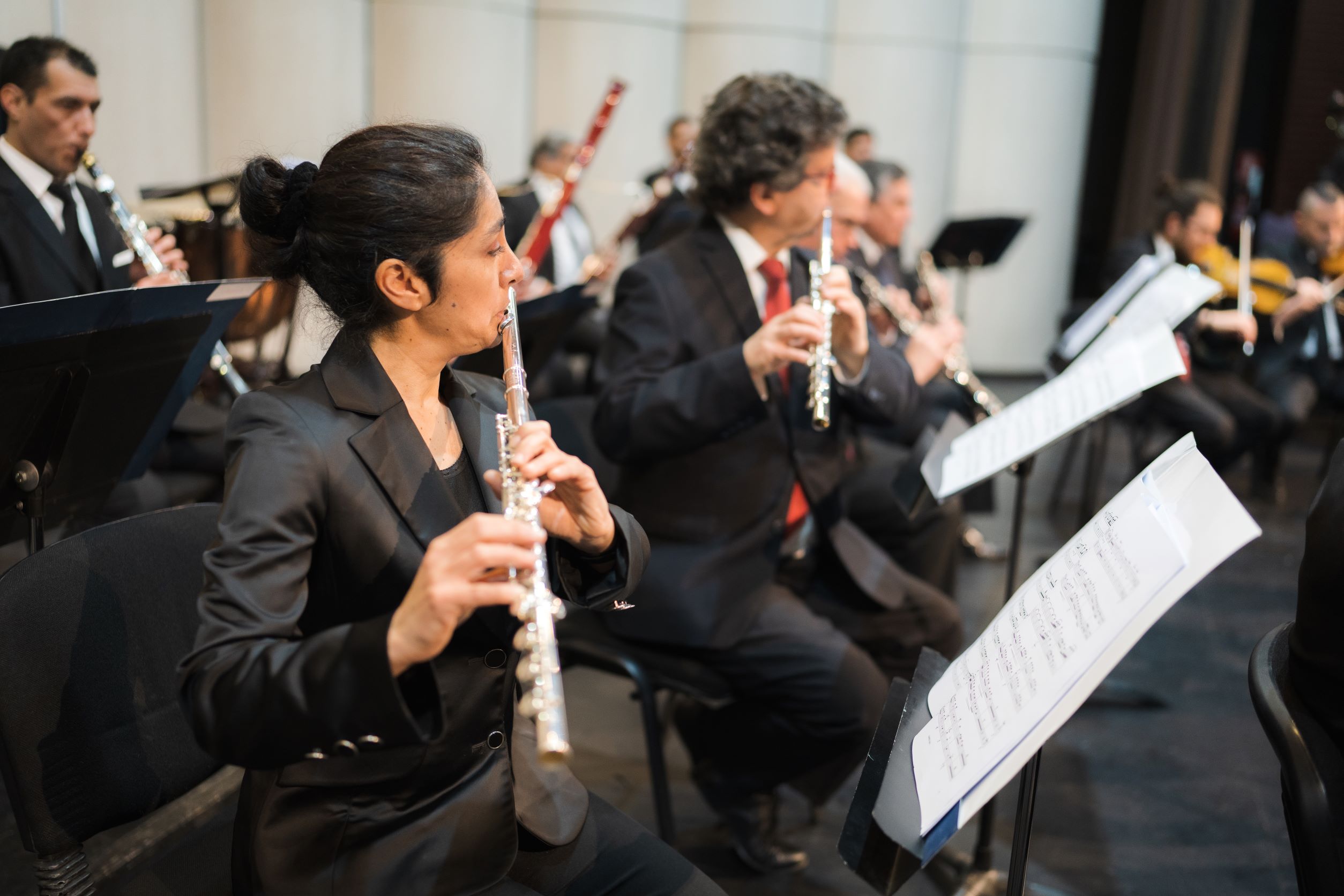 La Orquesta de Cámara de Chile se presenta en Chonchi con variado repertorio