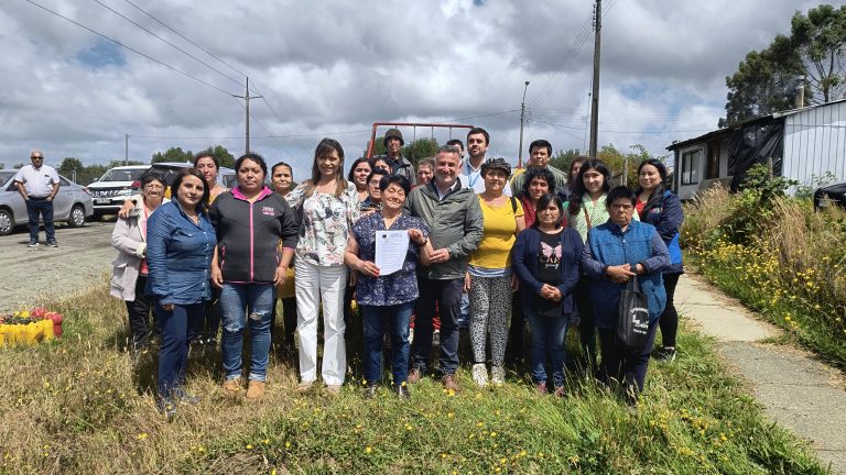 24 familias