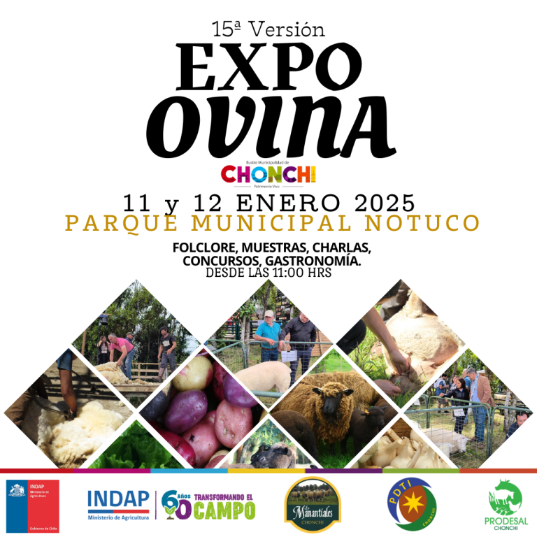 EXPO OVINA 2025 IG (1)