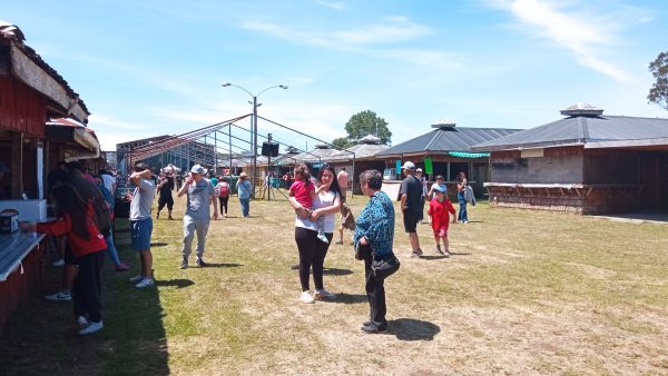 Imágenes de la «Expo Ovina» 2025