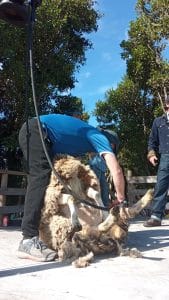 IMG_20250111_173803