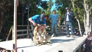 IMG_20250111_173824