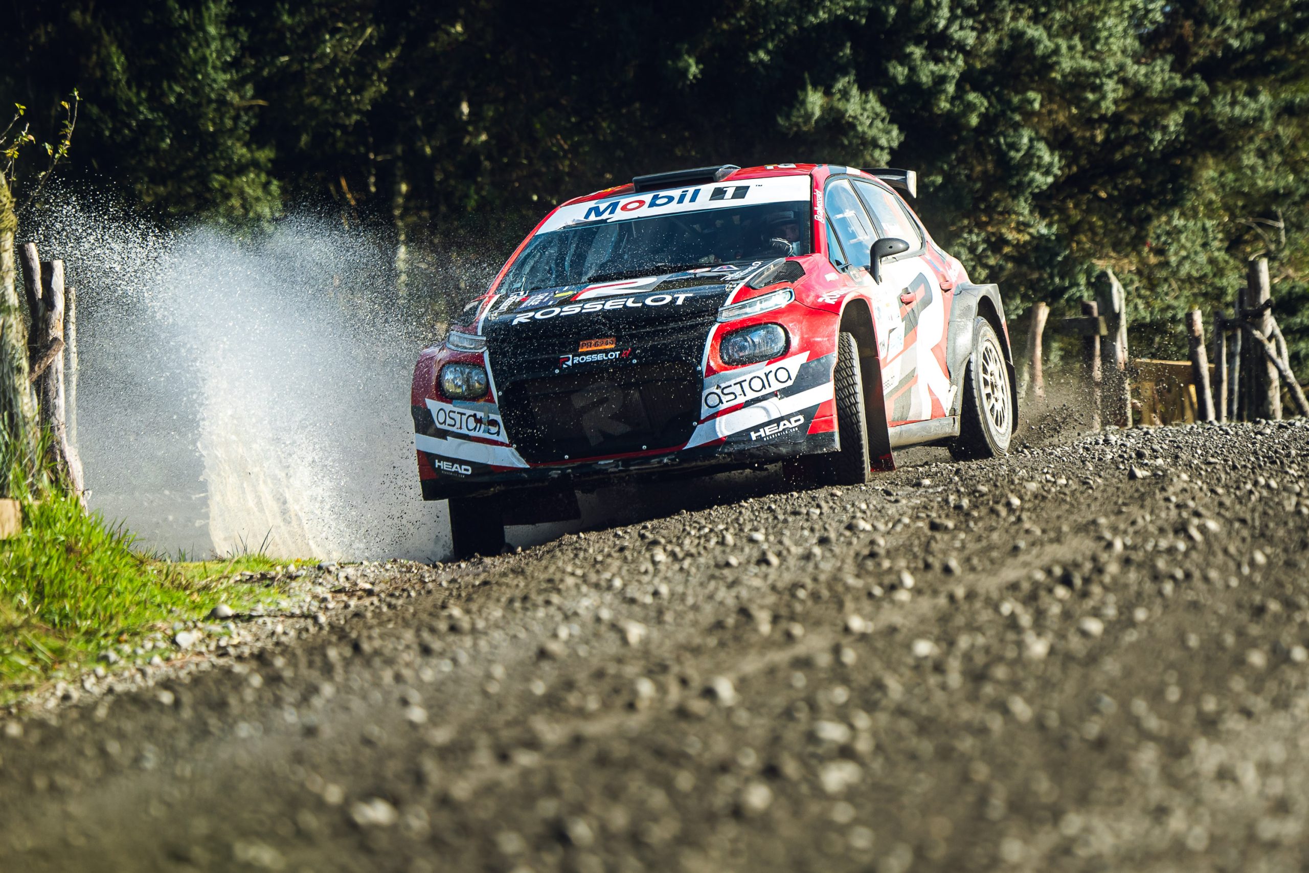 Copec I RallyMobil ™ -Chiloé_LB1_3870