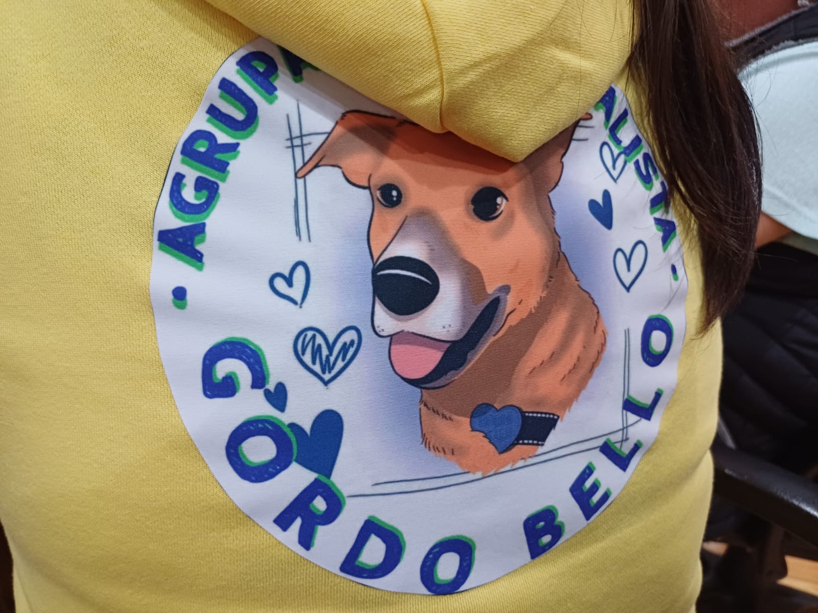 Alcalde de Chonchi, los equipos municipales y la Agrupación Animalista Gordo Bello se reúnen por el bienestar animal, tenencia de responsable y políticas municipales.