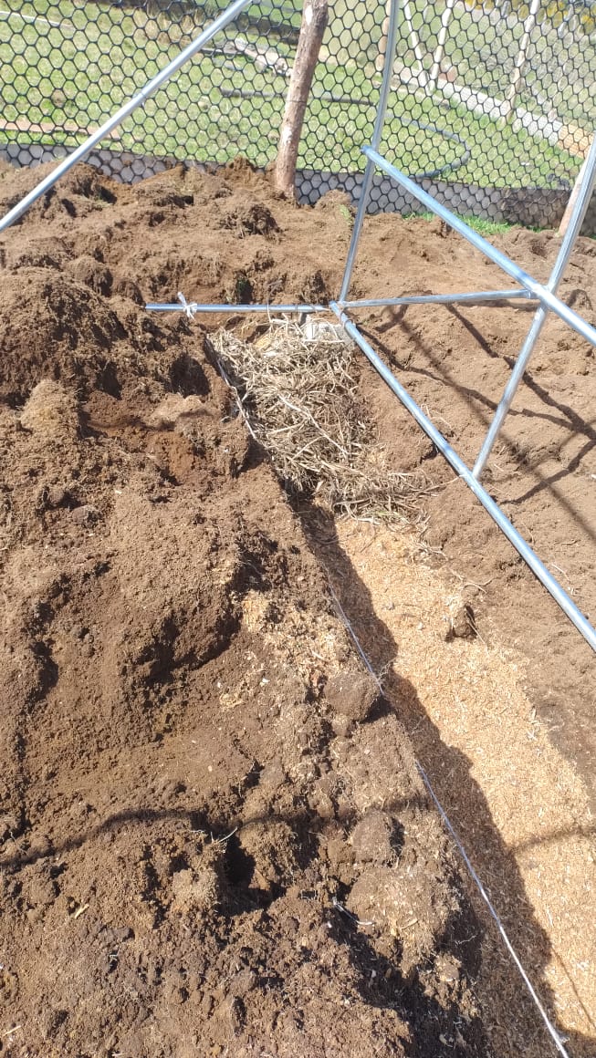 USUARIOS DE PRODESAL DE CURACO Y QUINCHED PARTICIPARON EN LA INSTALACIÓN DE INVERNADEROS ARMABLES