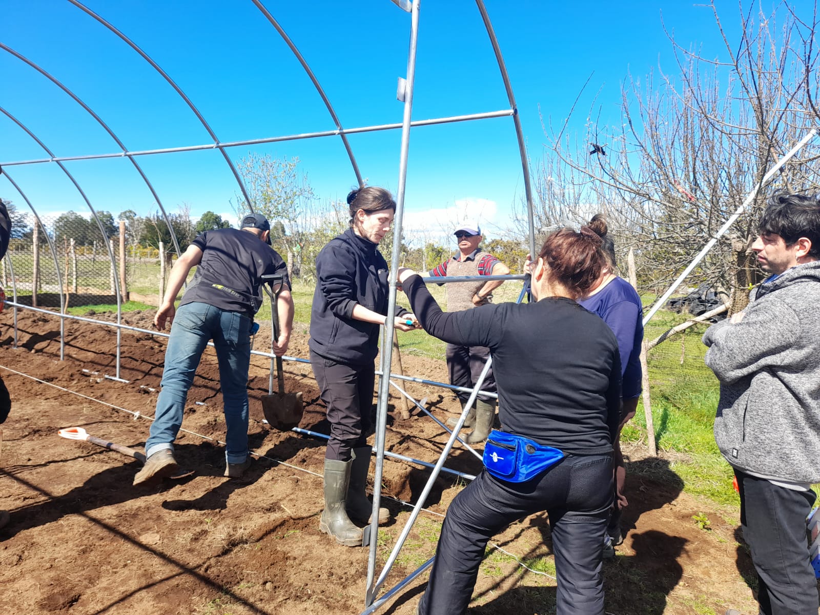 USUARIOS DE PRODESAL DE CURACO Y QUINCHED PARTICIPARON EN LA INSTALACIÓN DE INVERNADEROS ARMABLES