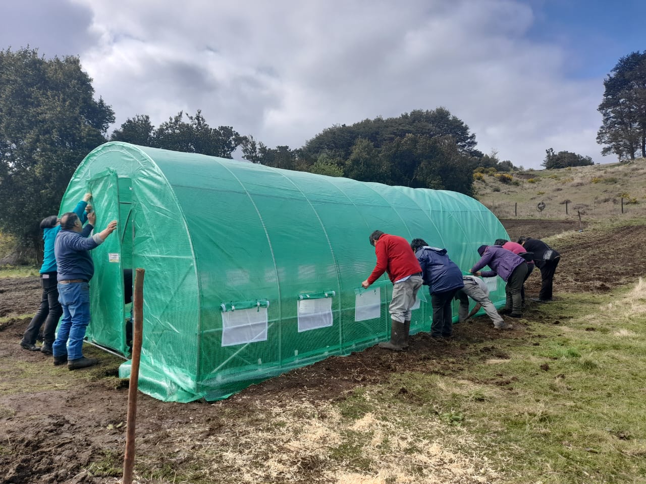 USUARIOS DE PRODESAL DE CURACO Y QUINCHED PARTICIPARON EN LA INSTALACIÓN DE INVERNADEROS ARMABLES