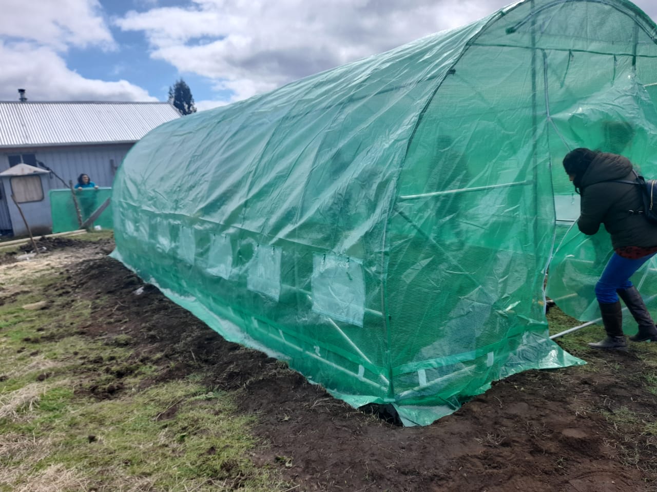 USUARIOS DE PRODESAL DE CURACO Y QUINCHED PARTICIPARON EN LA INSTALACIÓN DE INVERNADEROS ARMABLES