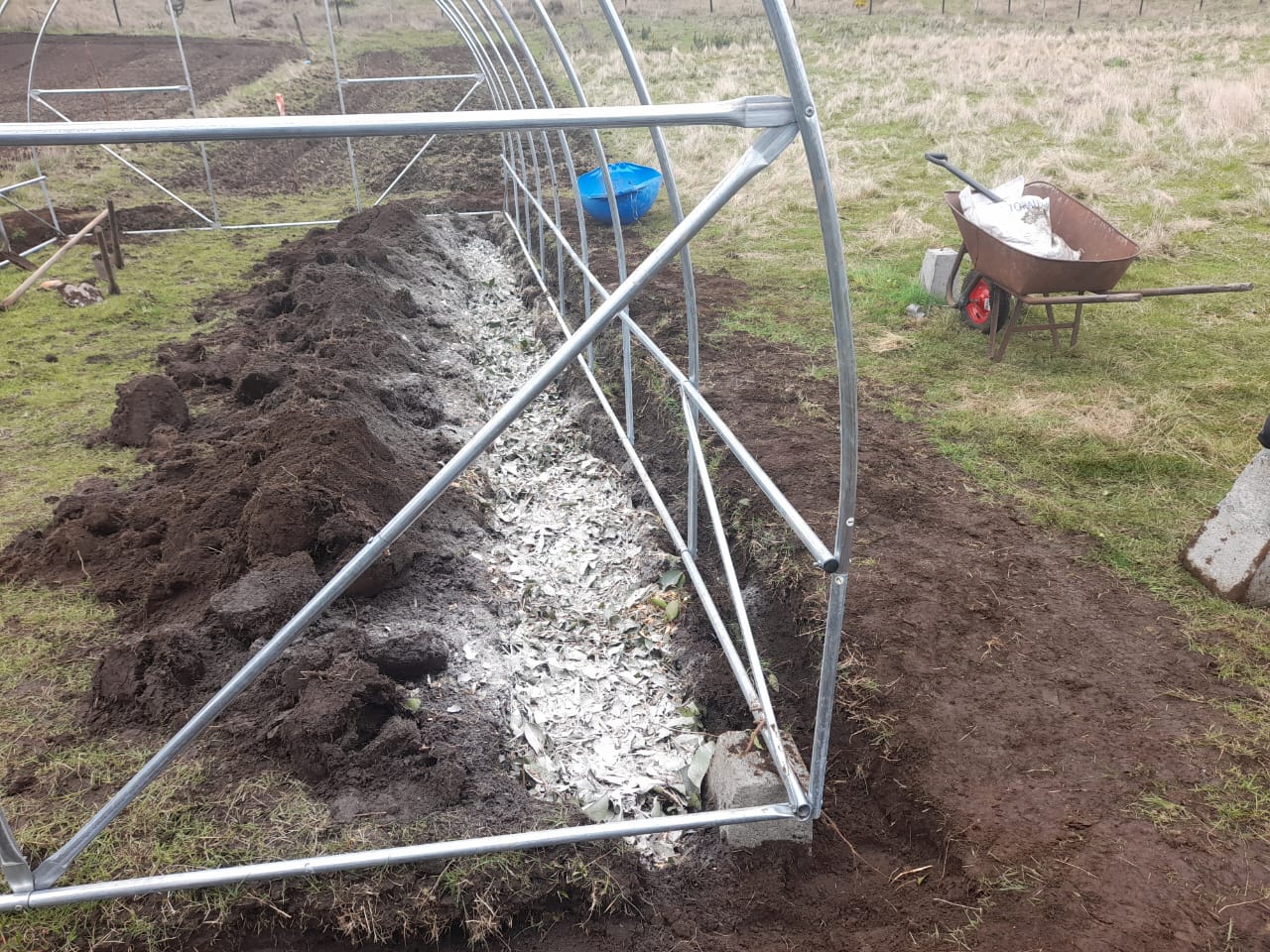 USUARIOS DE PRODESAL DE CURACO Y QUINCHED PARTICIPARON EN LA INSTALACIÓN DE INVERNADEROS ARMABLES