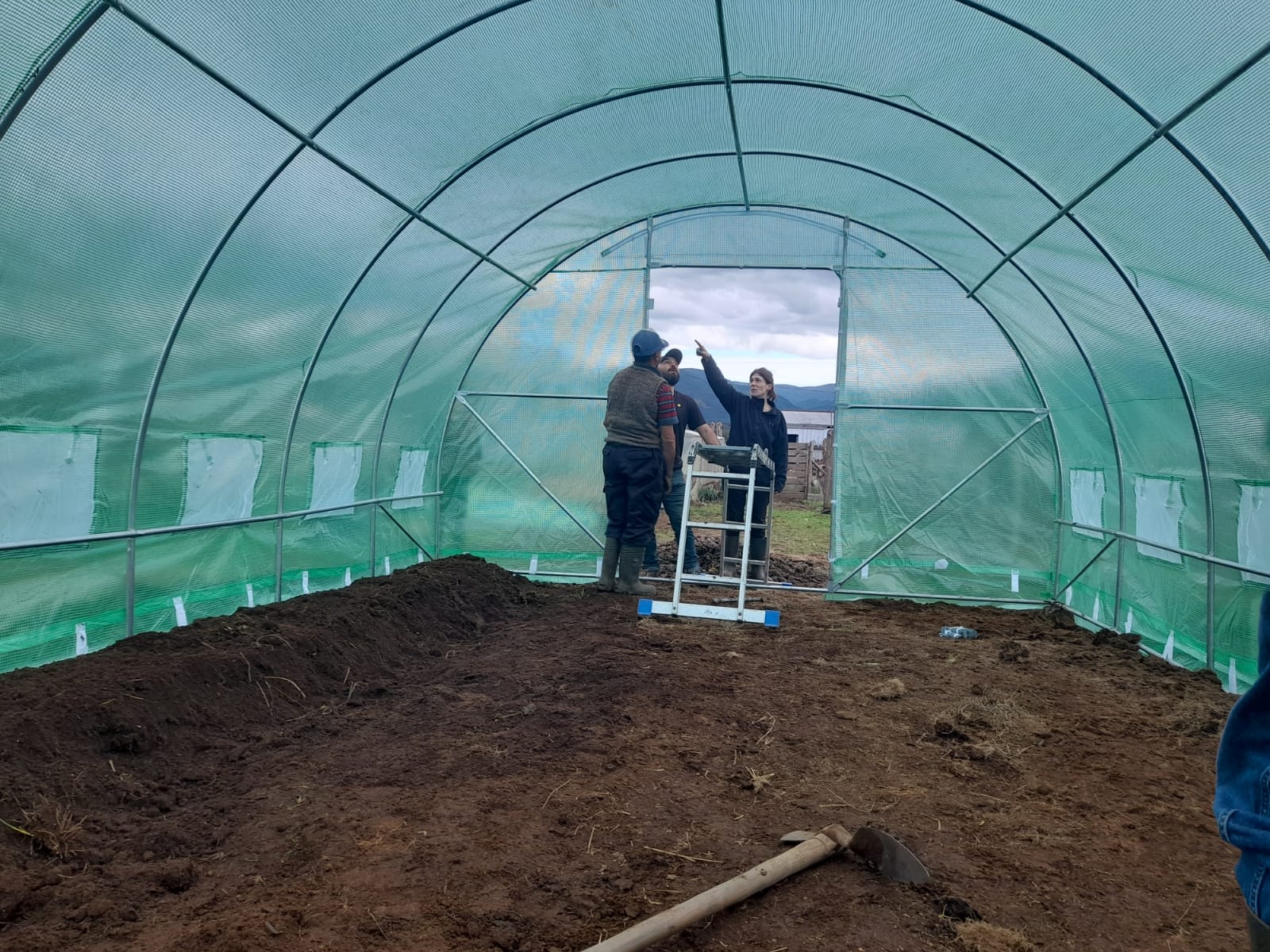 USUARIOS DE PRODESAL DE CURACO Y QUINCHED PARTICIPARON EN LA INSTALACIÓN DE INVERNADEROS ARMABLES