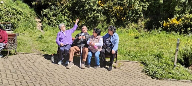 9 abuelitos