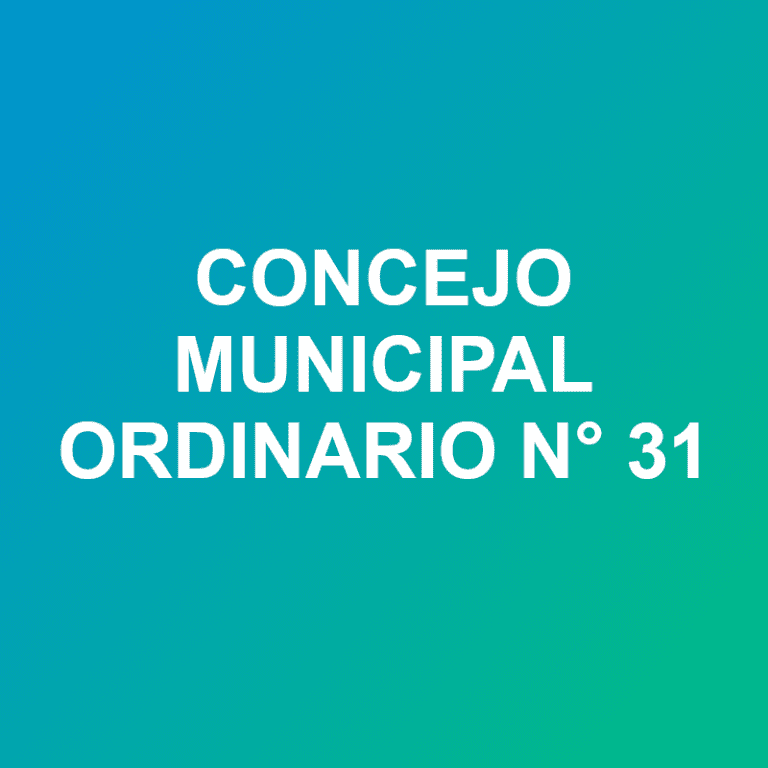 concejo ord 31