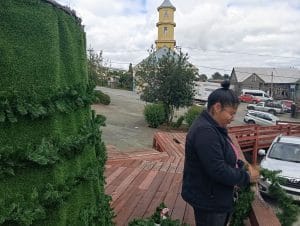 12 ENCENDIDO ARBOL DE NAVIDAD