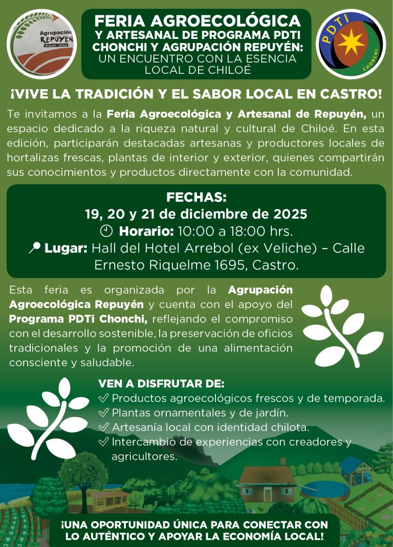 Feria Agroecológica Chonchi