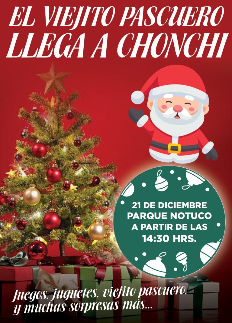 Feria Navideña Chonchi (1)