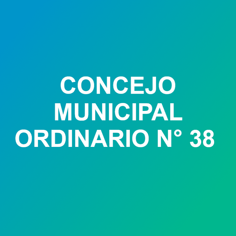 concejo ord 38