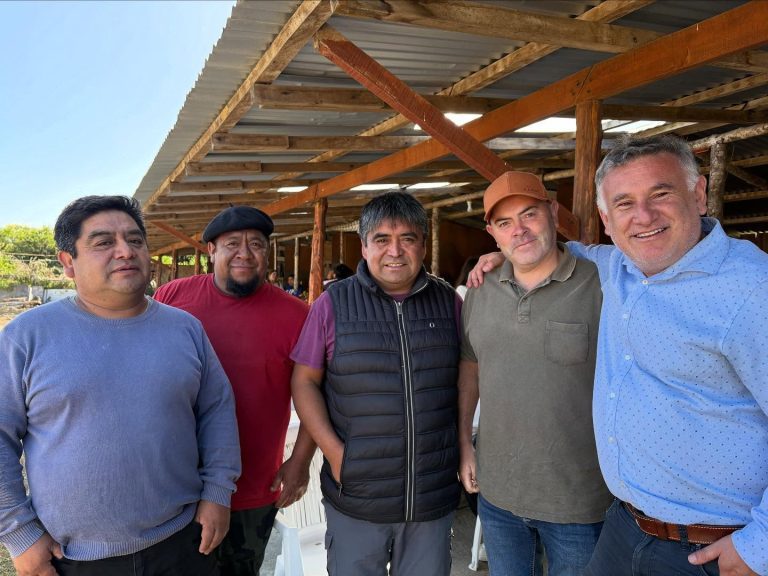 2 FIESTA COSTUMBRISTA CHANQUIN PALIHUE