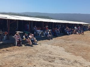 3 FIESTA COSTUMBRISTA CHANQUIN PALIHUE