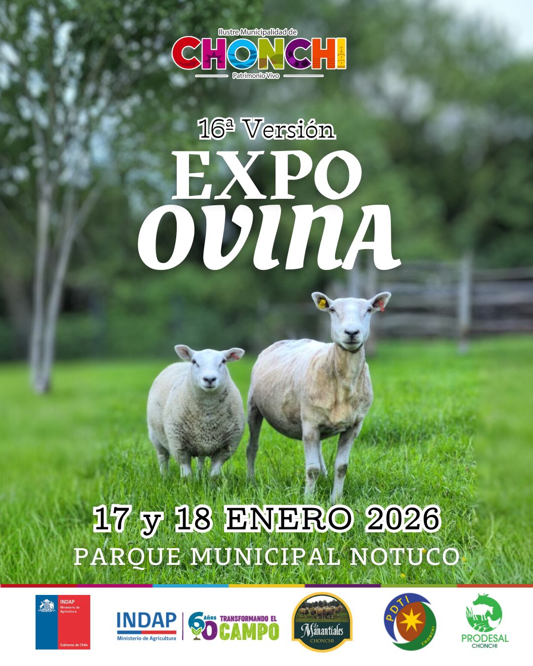 “EXPO OVINA” DARÁ INICIO A LA NUEVA TEMPORADA DE FIESTAS COSTUMBRISTAS 2026 EN LA COMUNA DE CHONCHI.