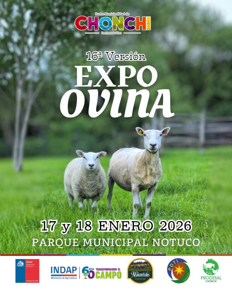 GRAFICA EXPO OVINA