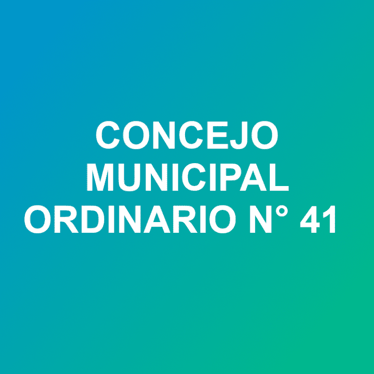 concejo ord 41