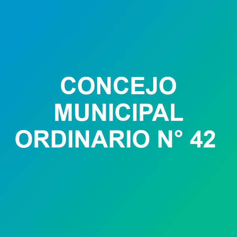 concejo ord 42