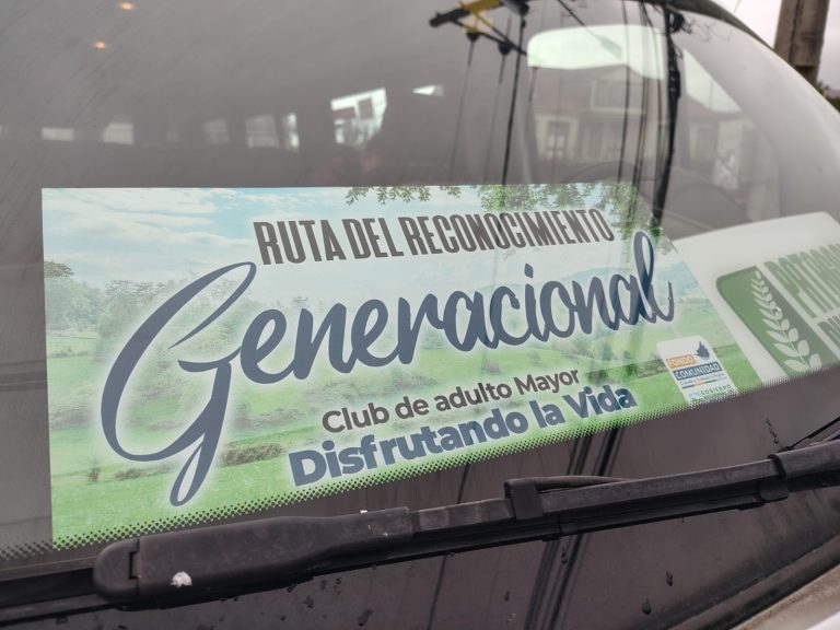 6 ABUELOS