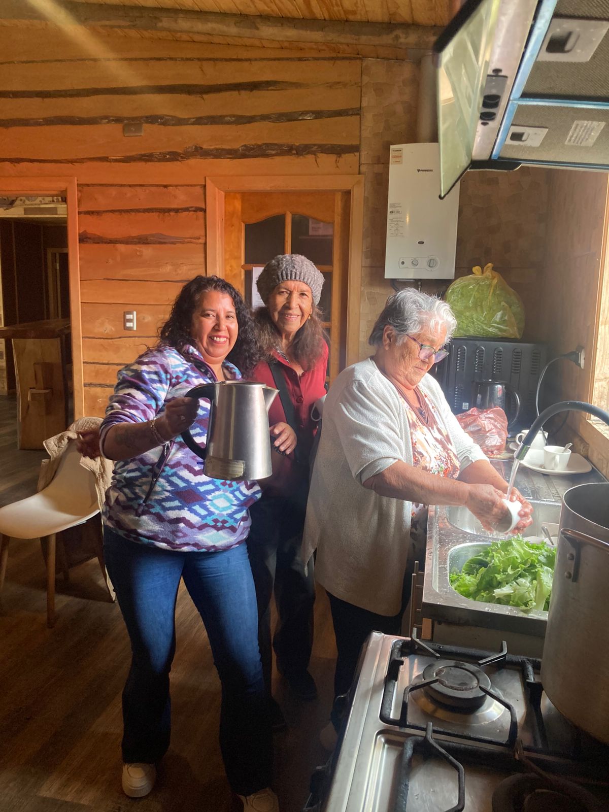 ADULTOS MAYORES DEL PROGRAMA VÍNCULOS DE CHONCHI PARTICIPAN EN JORNADA RECREATIVA EN ANCUD.