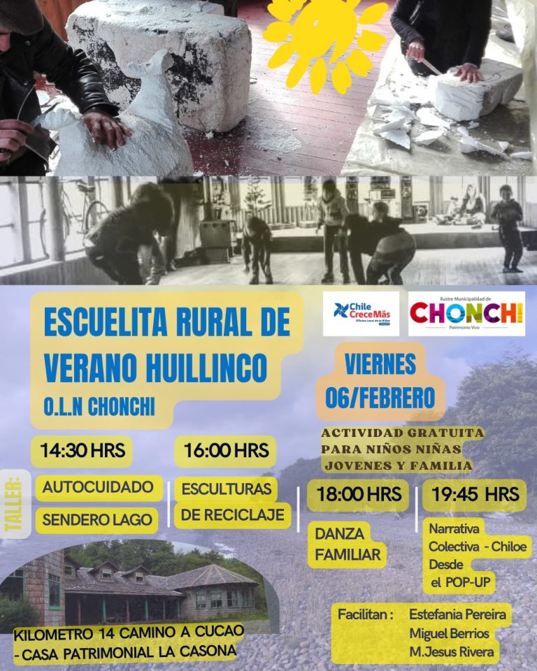 ACTIVIDADES ESCUELA DE VERANO HUILLINCO