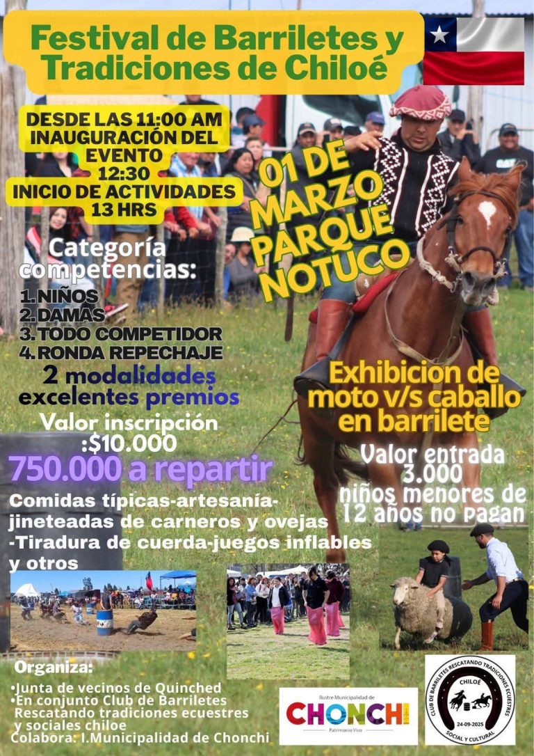 AFICHE FESTIVAL DE BARRILETES