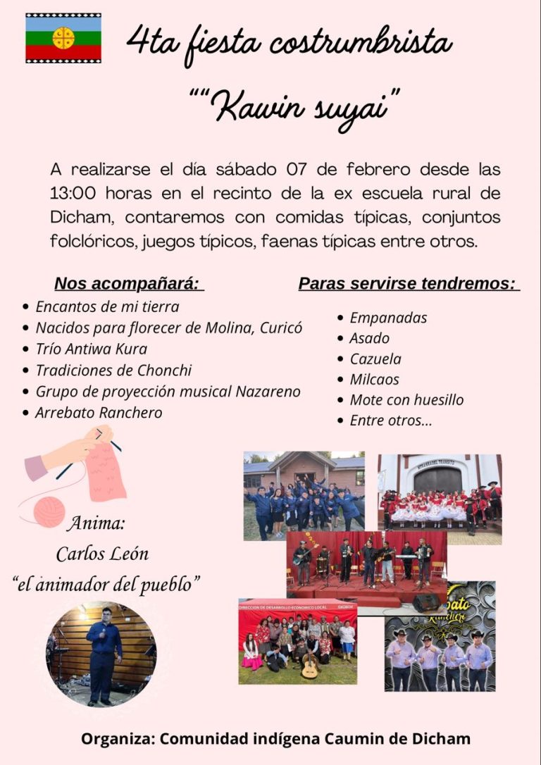AFICHE FIESTA DICHAM