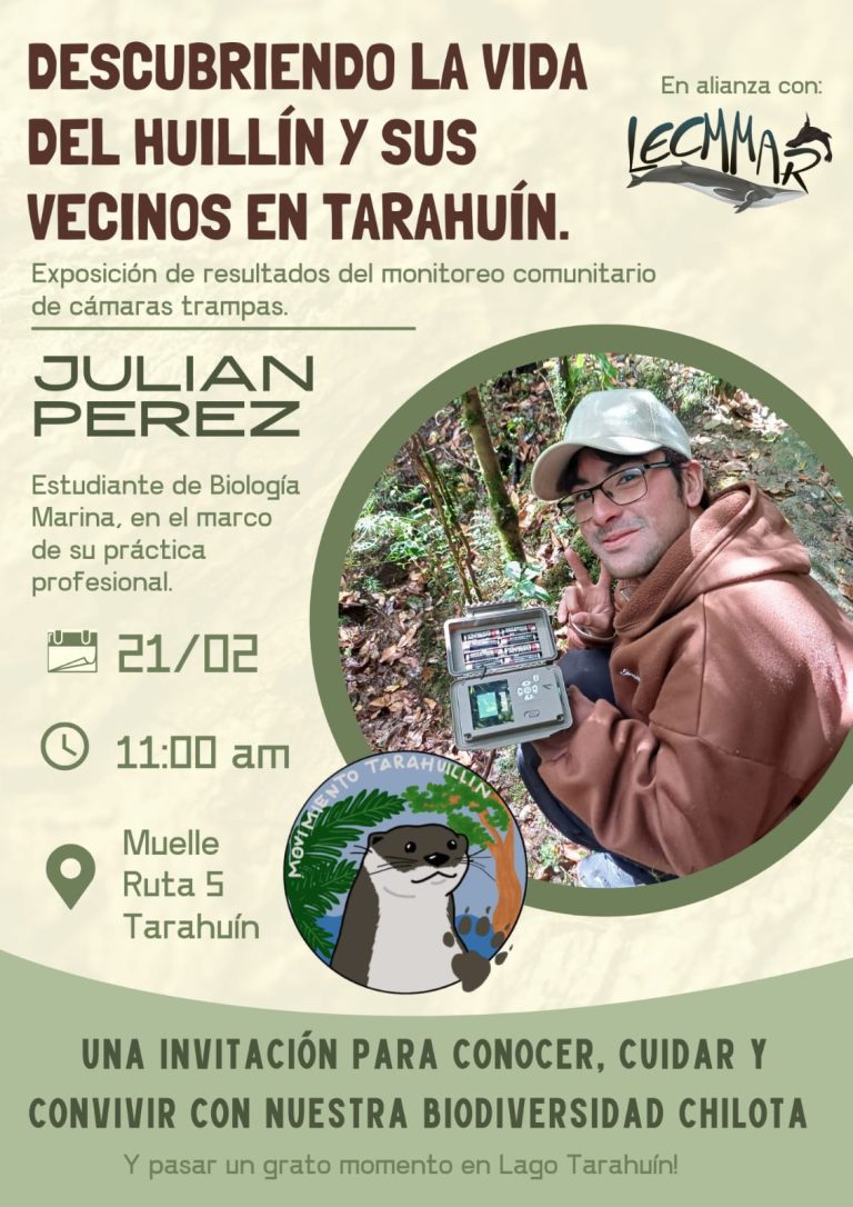 AFICHE TARAHUIN