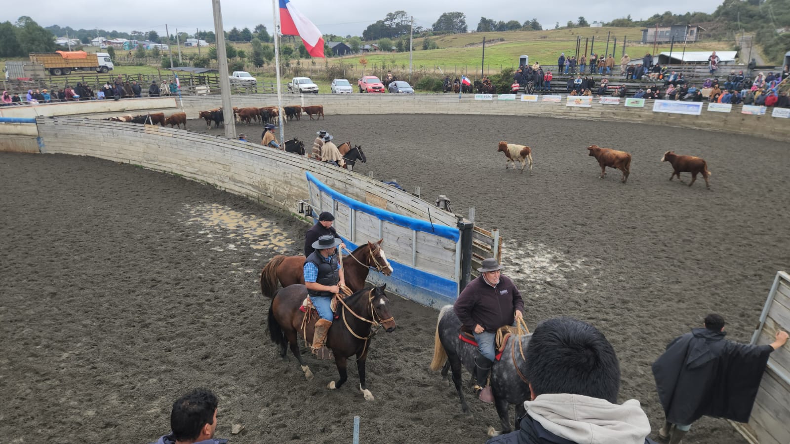 CLUB DE CABALGATA “AMIGOS CHILOTES CAMPEROS” DE CHONCHI REALIZARÁ ESTE DOMINGO SU SEGUNDA VERSIÓN DEL “APARTA DE GANADO”.
