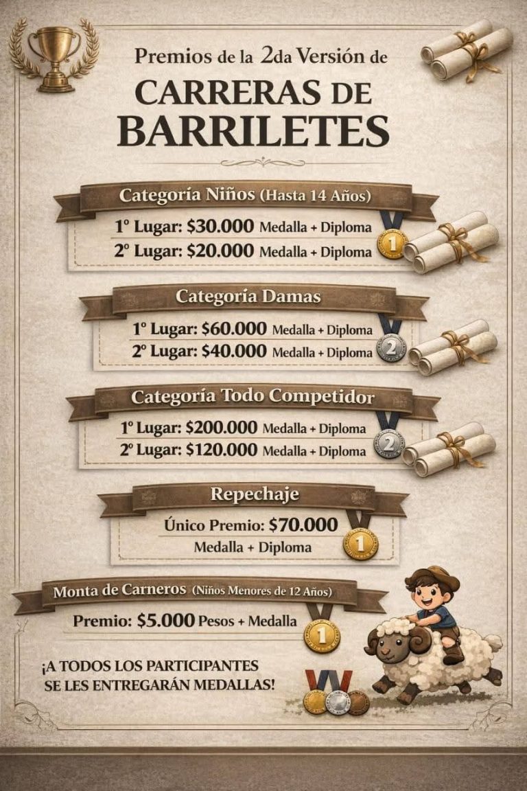 PREMIOS FESTIVAL BARRILETES