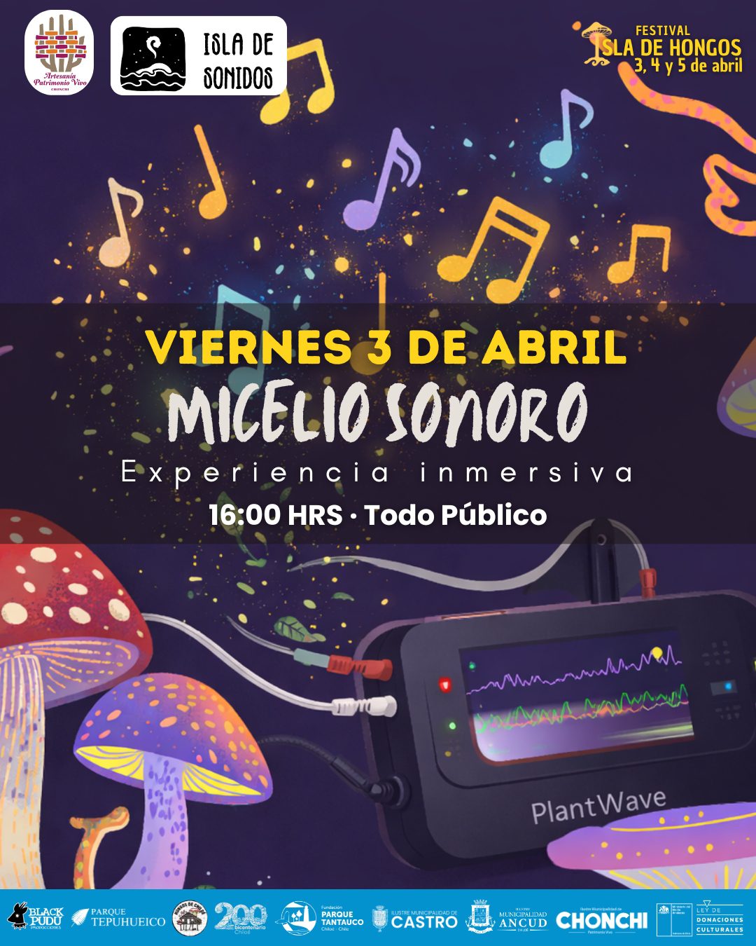 Chonchi se hace parte del Festival Isla de Hongos: Primer Festival de los Hongos de Chiloé