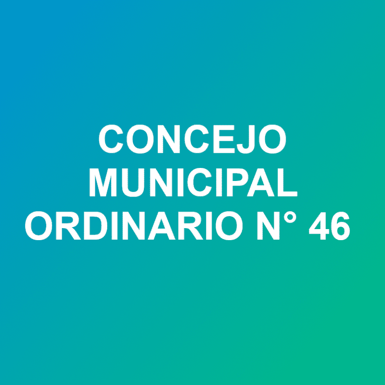concejo ord 46