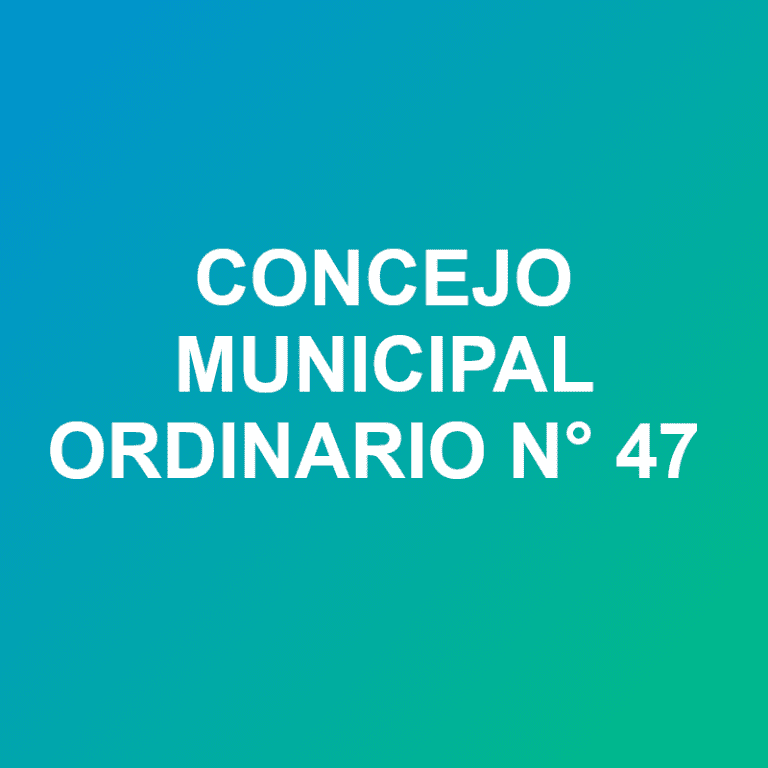 concejo ord 47