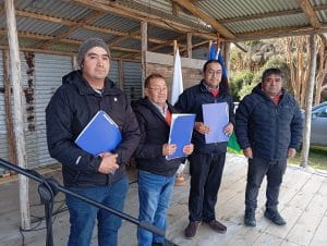 3 TITULOS DE DOMINIO CHANQUIN