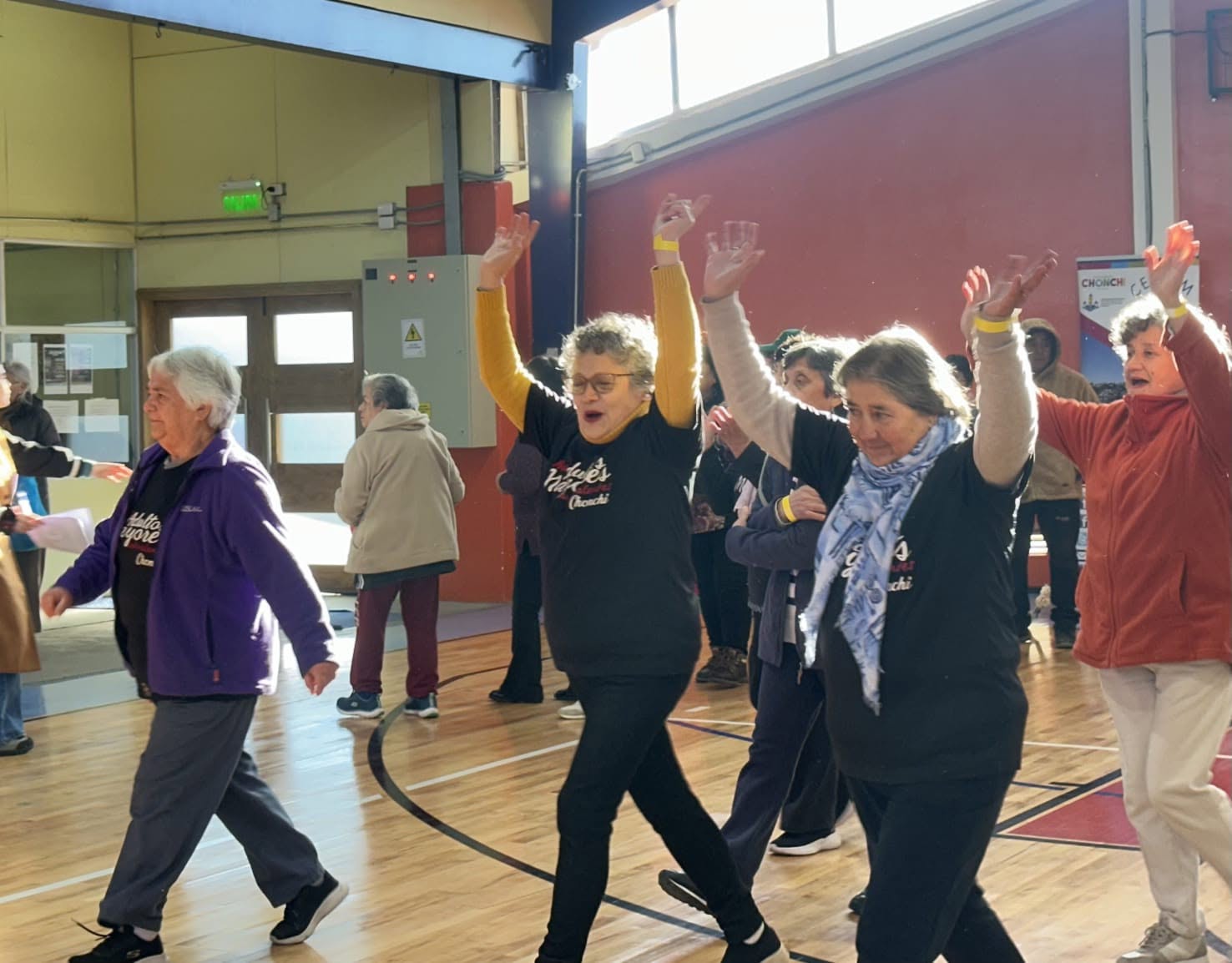 Personas Mayores celebraron el “Buen Trato y la Vida Activa” en Chonchi.