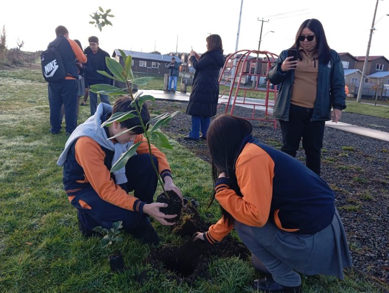 1 PLANTACION ARBOLES