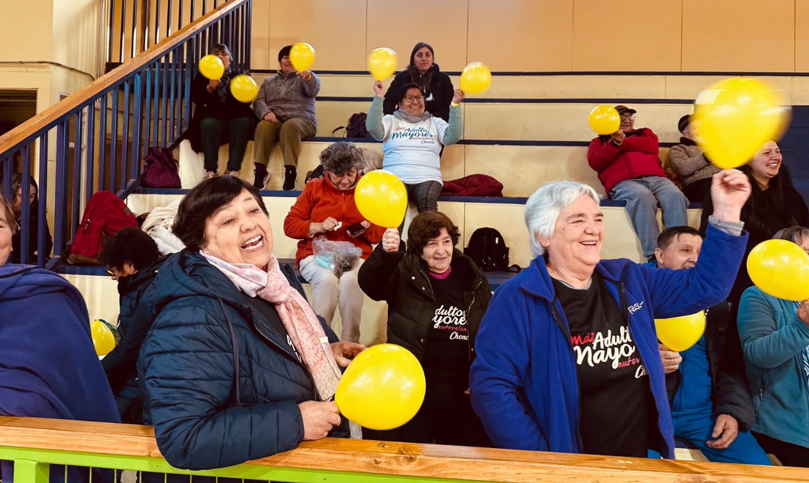 Personas Mayores celebraron el “Buen Trato y la Vida Activa” en Chonchi.