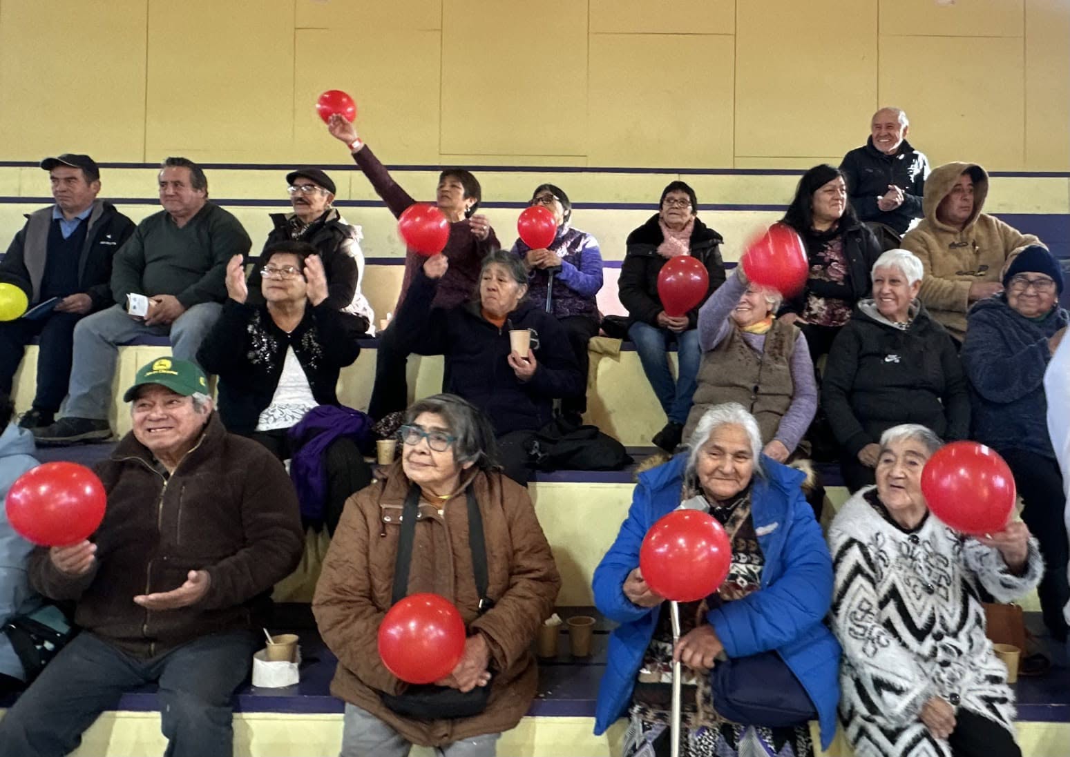 Personas Mayores celebraron el “Buen Trato y la Vida Activa” en Chonchi.