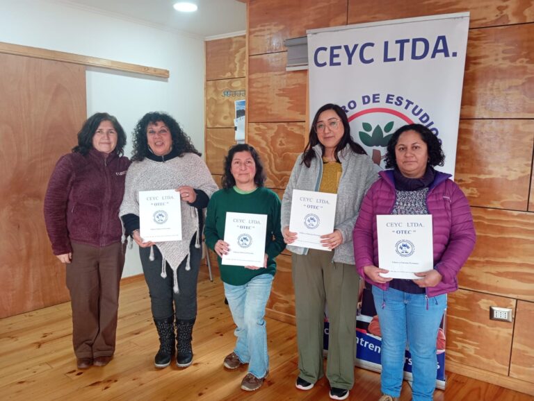 5 CERTIFICACION OMIL