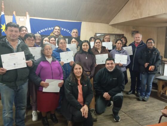 CERTIFICACION TALLER PULPITO